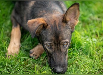 Boy ❤️ vom Alleinsein ins Familienglück