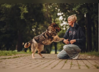 Freundliche und fröhliche Dana ❤️ sucht ihre Familie