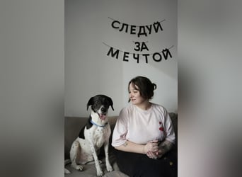 Verschmuster Rüde „Krem“ ❤️ sucht endlich ein verlässliches Zuhause