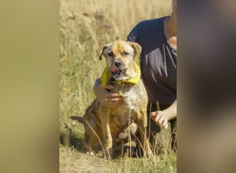Jack ❤️ sucht sein Für-Immer-Zuhause