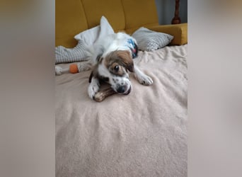 Faya ❤️ Kleine Kuschelprinzessin sucht ihre Herzensmenschen
