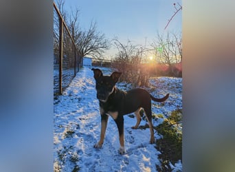 Sam ❤️ lebensfroher Wirbelwind sucht aktive Menschen