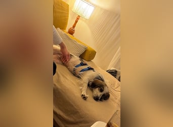 Faya ❤️ Kleine Kuschelprinzessin sucht ihre Herzensmenschen