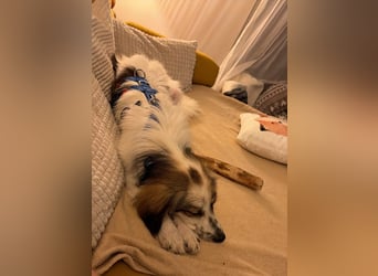 Faya ❤️ Kleine Kuschelprinzessin sucht ihre Herzensmenschen