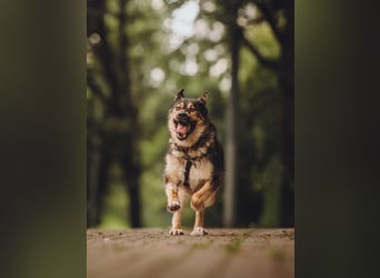 Freundliche und fröhliche Dana ❤️ sucht ihre Familie