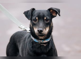 Theodor ❤️ kein Straßenhund, sondern ein Herzenshund