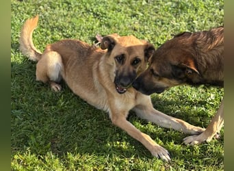 Luna wartet auf ihr Glück❤️