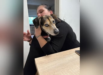 Menschenbezogene RONJA sucht perfect match ❤️