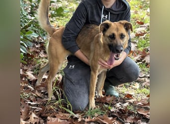 Luna wartet auf ihr Glück❤️