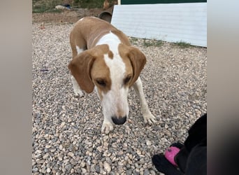 Rain sucht forever Home❤️