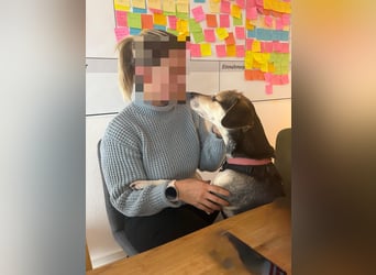 Menschenbezogene RONJA sucht perfect match ❤️