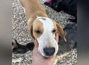 Rain sucht forever Home❤️