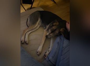 Menschenbezogene RONJA sucht perfect match ❤️