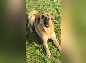 Luna wartet auf ihr Glück❤️