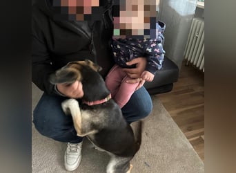 Menschenbezogene RONJA sucht perfect match ❤️