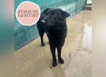 Liebe Mirka sucht ihre Familie ❤️