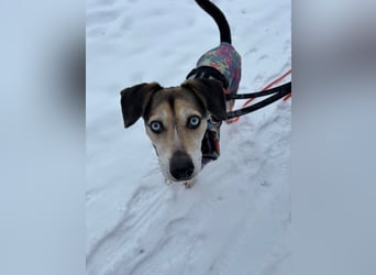 Menschenbezogene RONJA sucht perfect match ❤️