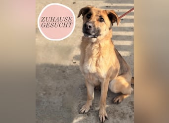 Luna wartet auf ihr Glück❤️