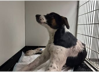 Notfall Nadezhda ❤️