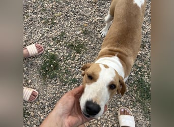 Rain sucht forever Home❤️