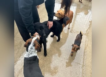 Liebe Mirka sucht ihre Familie ❤️