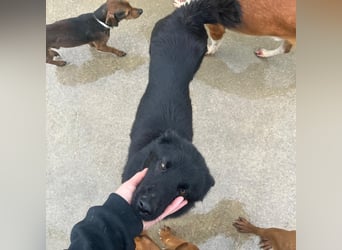 Liebe Mirka sucht ihre Familie ❤️