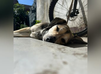 Menschenbezogene RONJA sucht perfect match ❤️