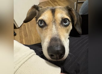 Menschenbezogene RONJA sucht perfect match ❤️