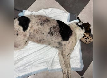 Notfall Nadezhda ❤️