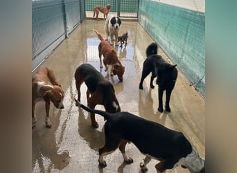 Liebe Mirka sucht ihre Familie ❤️