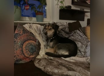 Menschenbezogene RONJA sucht perfect match ❤️