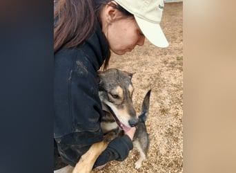 ARTHUR sucht seine Für-Immer-Familie❤️