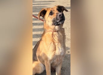 Luna wartet auf ihr Glück❤️