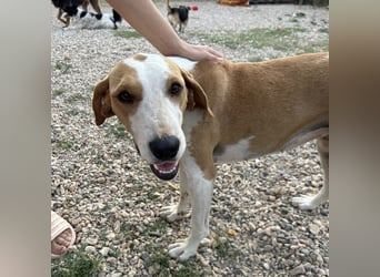 Rain sucht forever Home❤️