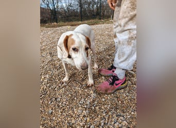 Zarte IRMA sucht Zuhause oder PS ❤️