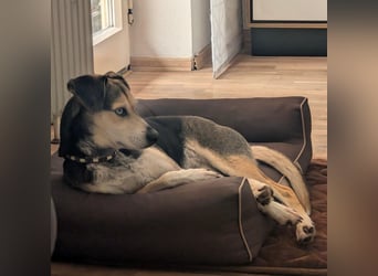 Menschenbezogene RONJA sucht perfect match ❤️