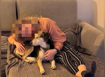 Ronja sucht ihr forever Home❤️