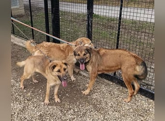 Luna wartet auf ihr Glück❤️