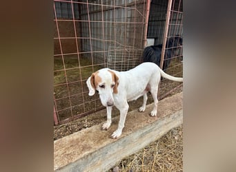 Zarte IRMA sucht Zuhause oder PS ❤️