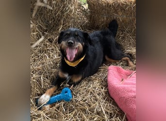 CARLO sucht sein perfect match ❤️