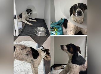 Notfall Nadezhda ❤️