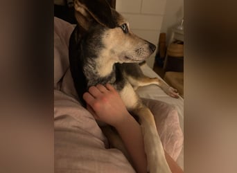 Menschenbezogene RONJA sucht perfect match ❤️