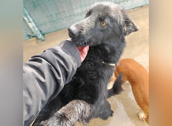 Liebe Mirka sucht ihre Familie ❤️