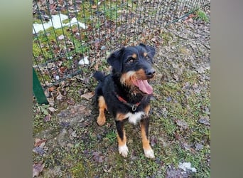 CARLO sucht sein perfect match ❤️