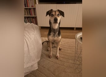 Menschenbezogene RONJA sucht perfect match ❤️