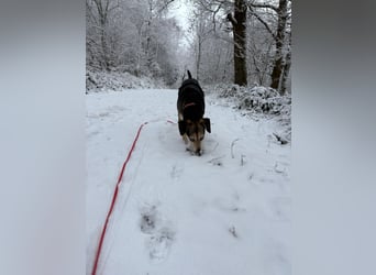 Menschenbezogene RONJA sucht perfect match ❤️