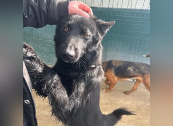 Liebe Mirka sucht ihre Familie ❤️