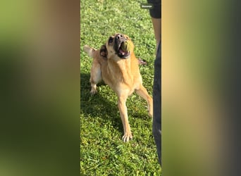 Luna wartet auf ihr Glück❤️