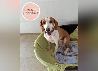 MIO sucht sein Für-Immer-Körbchen ❤️