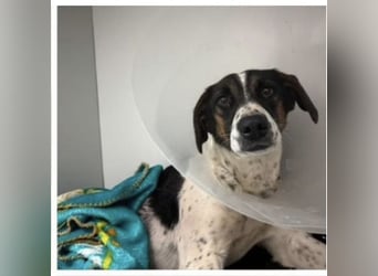 Notfall Nadezhda ❤️